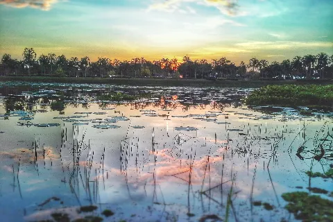 Related to Sakon Nakhon