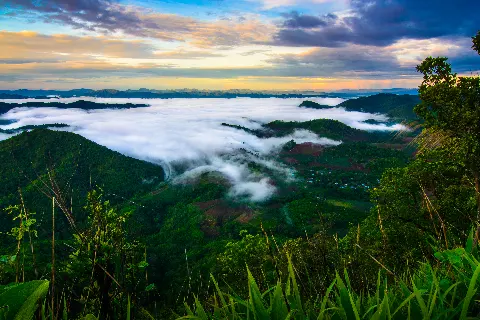 Related to Suphan Buri