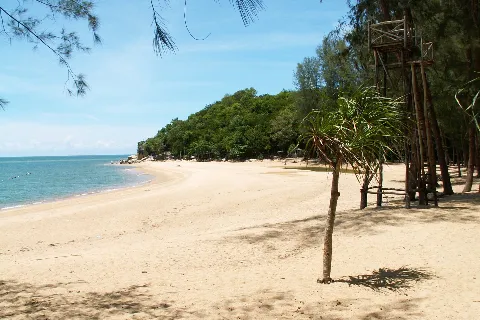 Related to Narathiwat