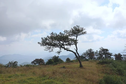 Related to Samoeng District
