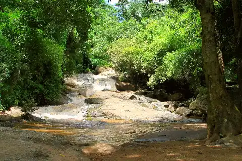Related to Mae Rim District