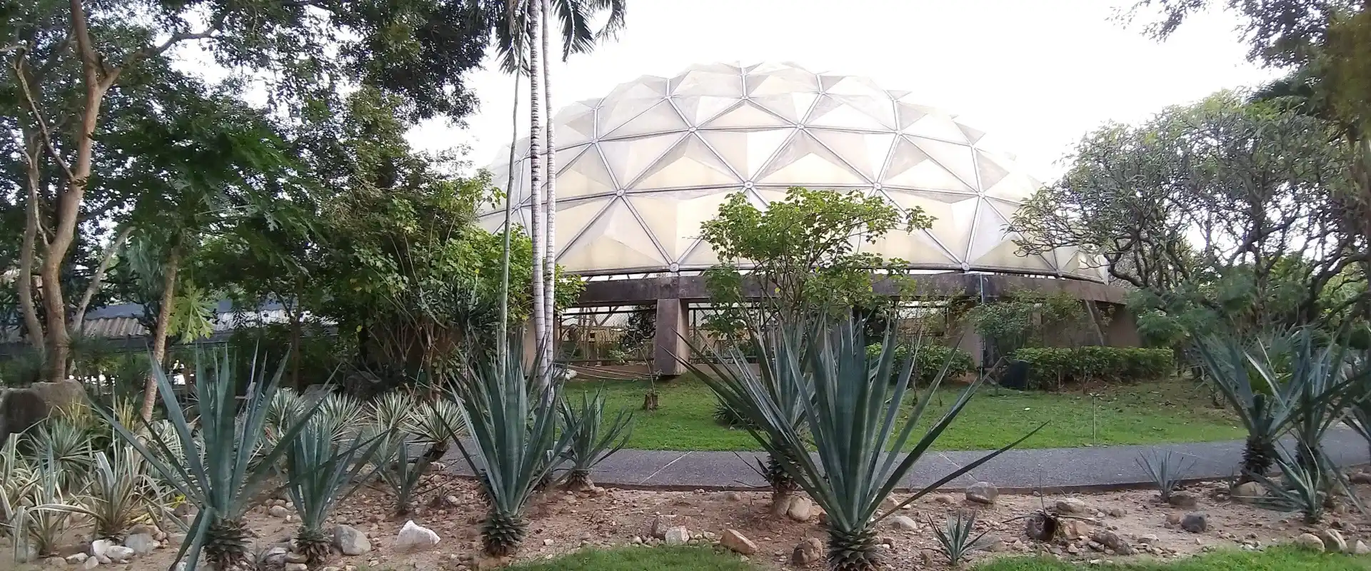 Geodesic desert-plant dome and planted beds in the botanical garden at Suan Luang Rama IX Park, Bangkok