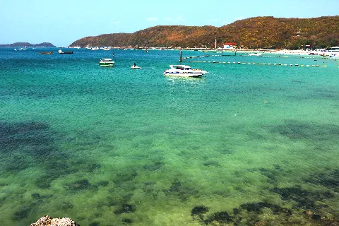 Related to Ko Lan (Koh Larn)