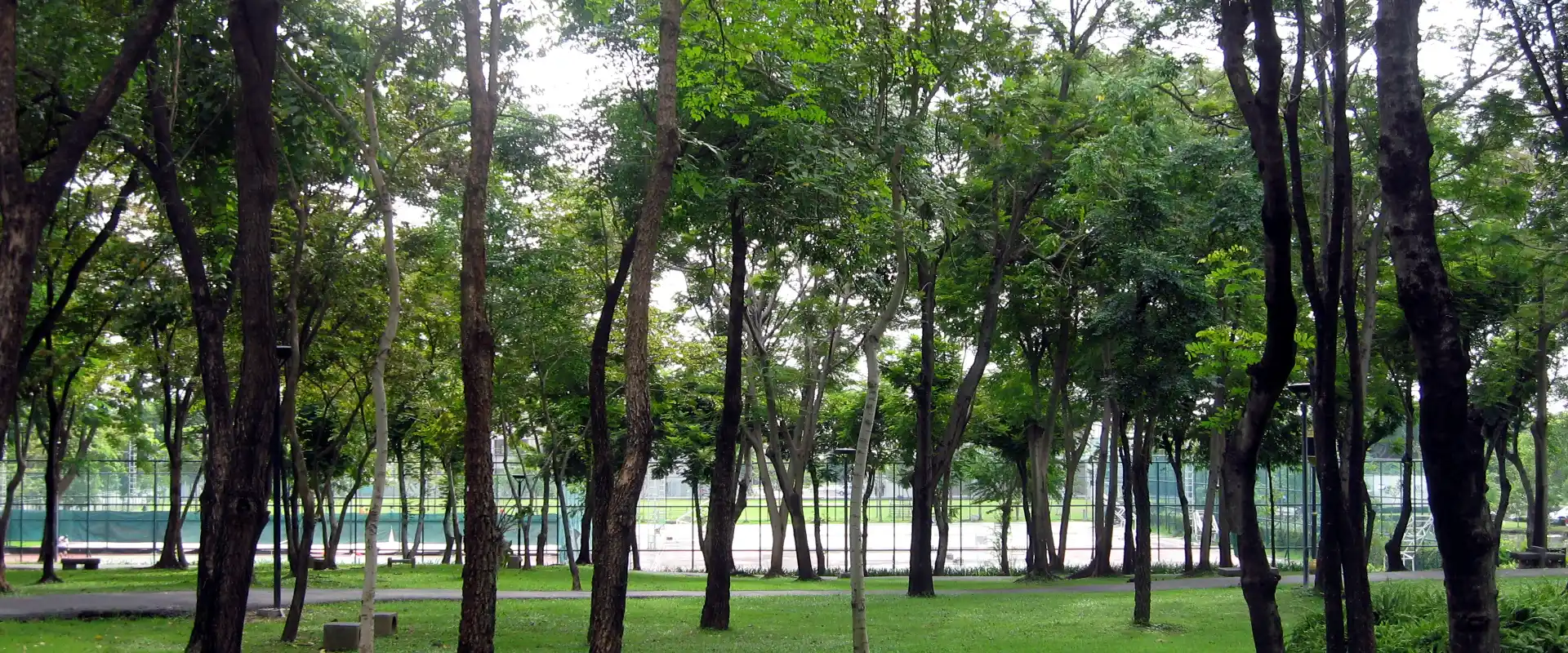 Tree-lined path and sports-court edge at Ramintra Sports Park, Bang Khen, Bangkok