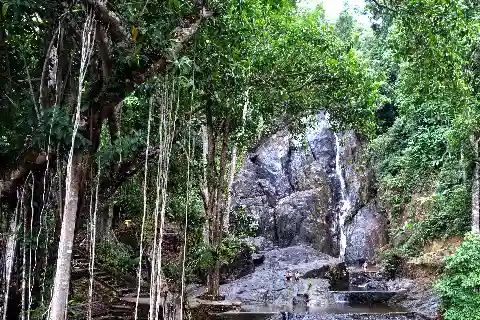 Related to Ranong