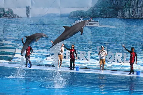Related to Safari World