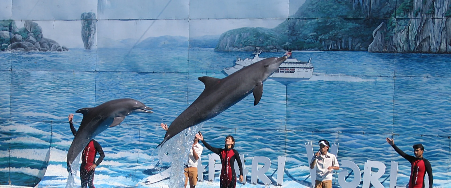 Dolphins and trainers during a performance at Safari World, Khlong Sam Wa, Bangkok