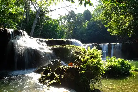 Related to Saraburi