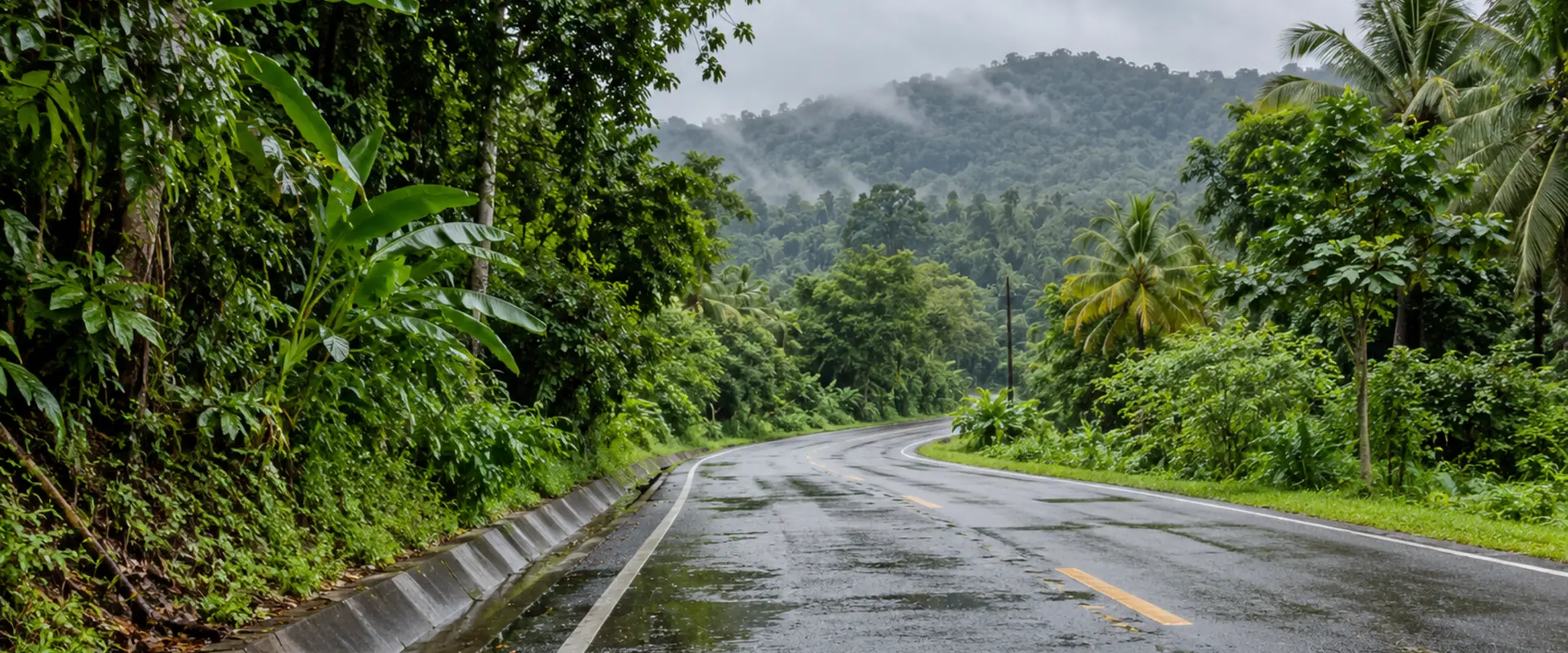 A damp road beside tropical vegetation and a distant hillside in an AI-generated contextual scene