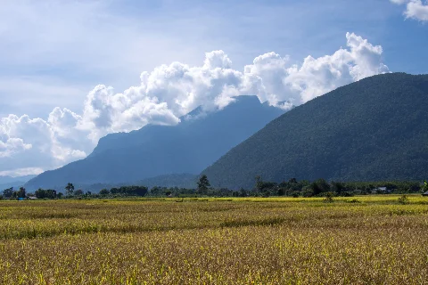Related to Chiang Dao District