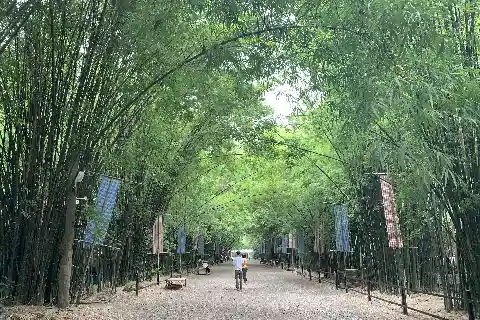 Related to Nakhon Nayok